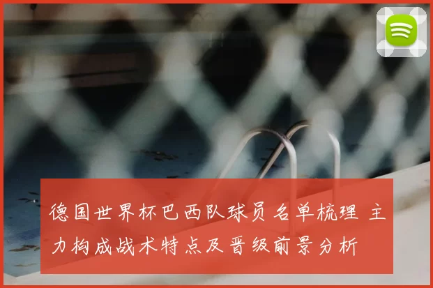 德国世界杯巴西队球员名单梳理 主力构成战术特点及晋级前景分析