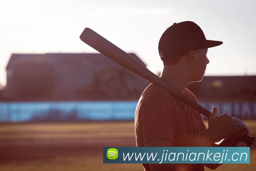 半岛在线官网平台生态图